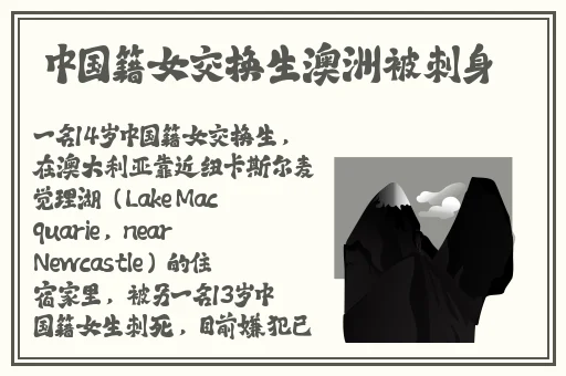晚上偷偷看B站