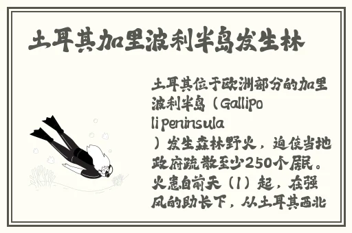 国内精品久久久久久久久久影视